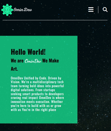 OminDev Team